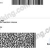 Alabama (AL) – Drivers License PSD Template Download
