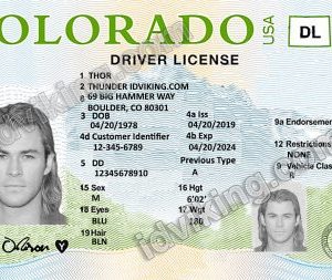 Colorado (CO) – Drivers License PSD Template Download