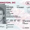 Washington DC (DC) – Drivers License PSD Template Download