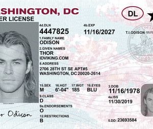 Washington DC (DC) – Drivers License PSD Template Download
