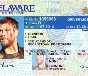 Delaware (DE) Drivers License – Scannable Fake ID