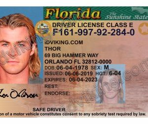 Florida (FL) – Drivers License PSD Template Download