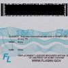 Florida (FL) NEW – Drivers License PSD Template Download