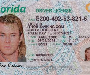 Florida (FL) NEW – Drivers License PSD Template Download