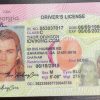 Georgia (GA) Drivers License- Scannable Fake ID