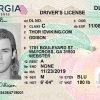 Georgia (GA) NEW- Drivers License PSD Template Download