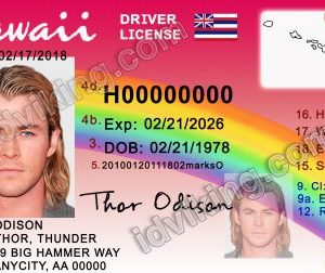 Hawaii (HI) – Drivers License PSD Template Download