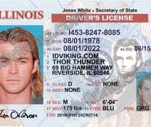 Illinois (IL) – Drivers License PSD Template Download