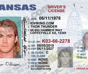 Kansas (KS) – Drivers License PSD Template Download