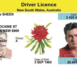 New South Wales License PSD Template – (Australia)