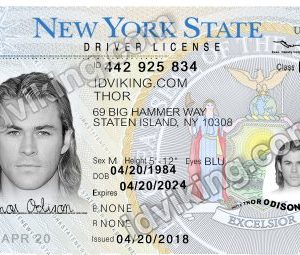 New York (NY) – Drivers License PSD Template Download