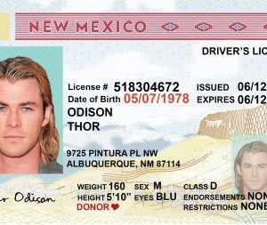 New Mexico (NM) Drivers License – Scannable Fake ID