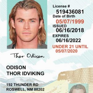 New Mexico (NM) Under 21 Drivers License – Scannable Fake ID