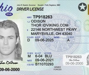Ohio (OH) – Drivers License PSD Template Download
