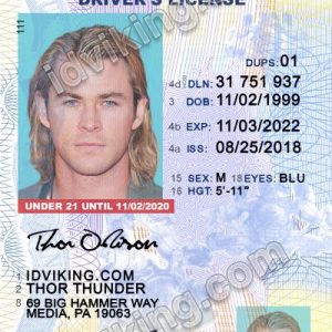 Pennsylvania U21 (PA) – Drivers License PSD Template Download