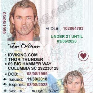 South Carolina U21 (SC) – Drivers License PSD Template Download
