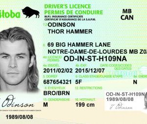 (MB) Manitoba Driver’s License – Scannable Fake ID