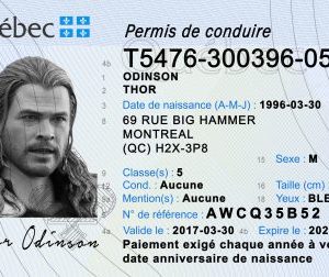 (QC) Quebec Drivers License – Scannable Fake ID