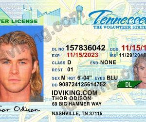 Tennessee (TN) – Drivers License PSD Template Download