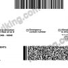 Texas (TX) – Drivers License PSD Template Download