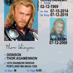 Washington (WA) Under 21 Drivers License- Scannable Fake ID