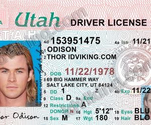 Utah (UT) – Drivers License PSD Template Download