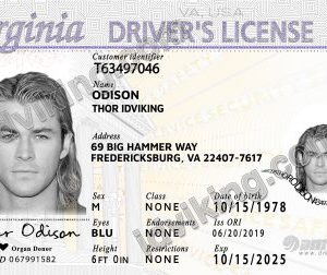 Virginia (VA) – Drivers License PSD Template Download