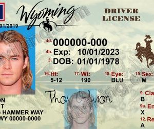 Wyoming (WY) – Drivers License PSD Template Download