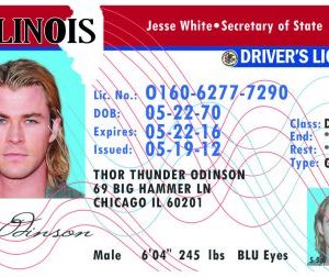 Illinois Old (IL) Drivers License – Scannable Fake ID
