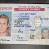 Illinois NEW (IL) Drivers License – Scannable Fake ID