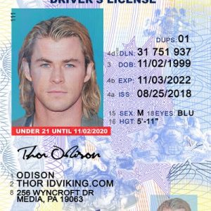 Pennsylvania NEW (PA) under 21 Drivers License – Scannable Fake ID