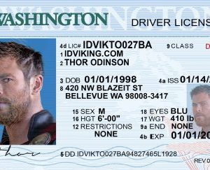 Washington (WA) – Drivers License PSD Template Download